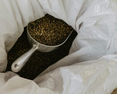 raw coffee beans in a bag along with tool to pick up